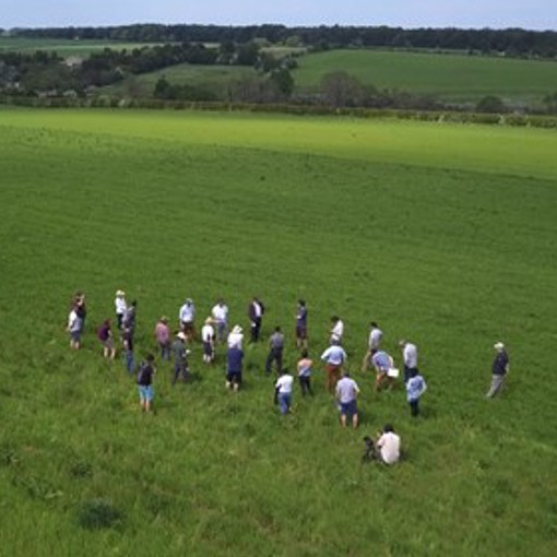 Thumbnail for 'Farmer-led research crucial to sustainable farming' page