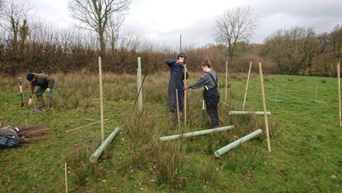 Farmers plant trees on their farms