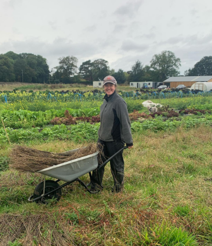 Jossie collecting retted flax for drying at Lauriston Farm