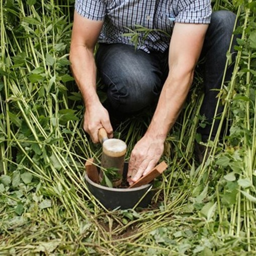 Thumbnail for 'Could hemp be an ecological wonder-plant for UK farming?' page