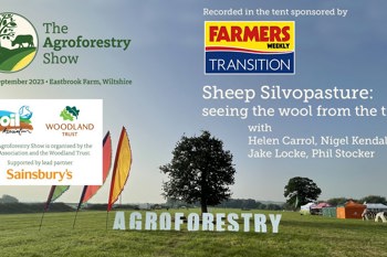 Thumbnail for 'Watch the agroforestry show session: Sheep Silvopasture - seeing the wool for the trees' page