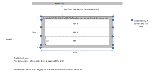 Trial design