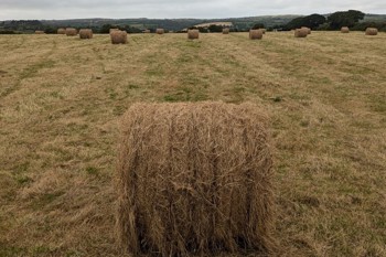 Thumbnail for 'Reducing Plastic Use on Farm' page