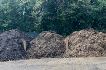 Thumbnail for 'How to make better compost' page