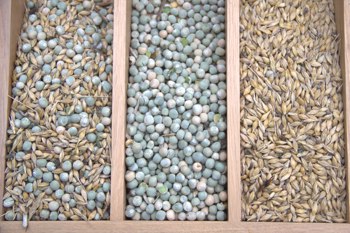 Thumbnail for 'Intercropping Guide for Farmers' page