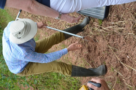 Soil testing between hop rows