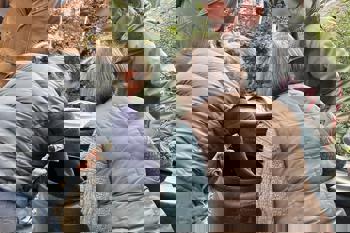 Thumbnail for 'How to optimise your compost management' page