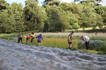 Thumbnail for 'Flax harvest 2024 is underway!' page