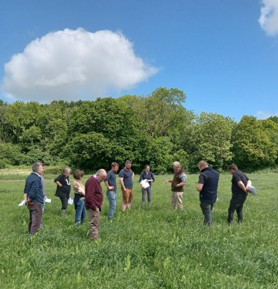 Field lab: improving pasture performance with satellite technology