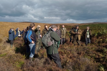 Thumbnail for 'Non Chemical Bracken Management Webinar - 19th November' page