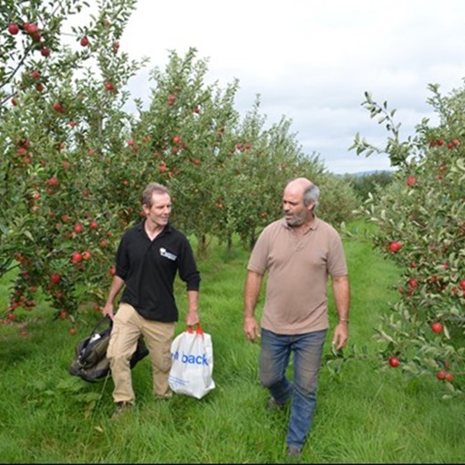 Thumbnail for 'Will willow mulch tackle apple scab?' page