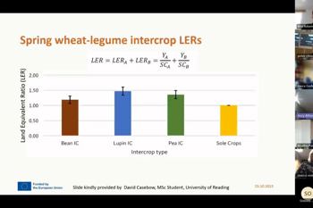 Thumbnail for 'View the latest LEGUMINOSE webinar on species and varieties' page