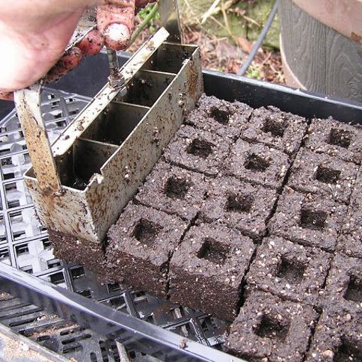 Thumbnail for 'Eliminating peat from propagation using growing media blocks' page